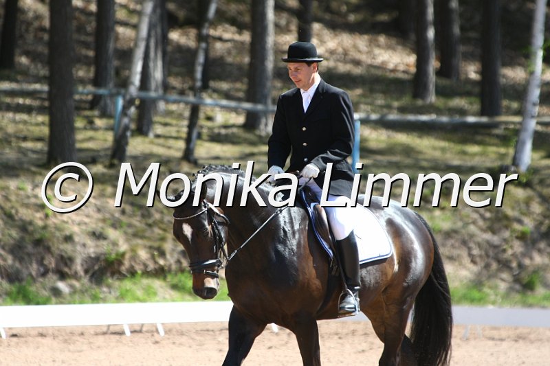 203M6607_Sir Sigi_Dressurpferde_A.JPG